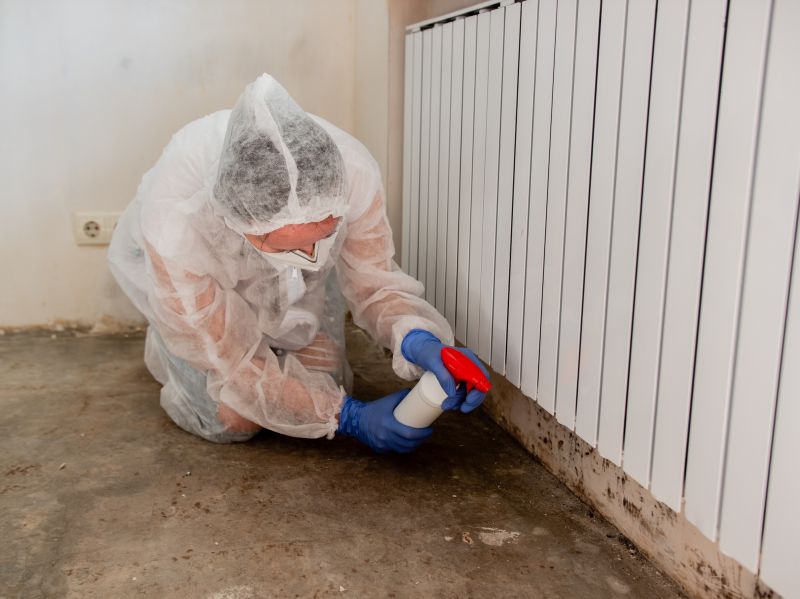 Attic Mold Removal in Fort Lauderdale, FL