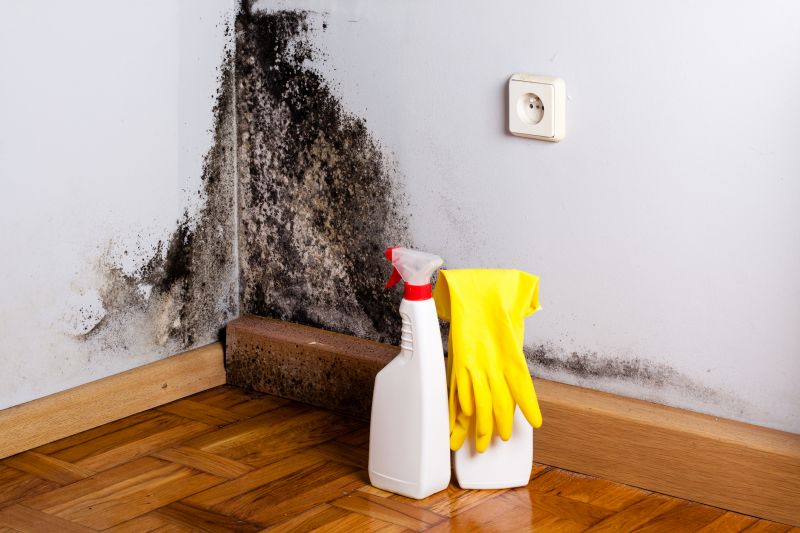 Basement Mold Removal in Dallas, TX