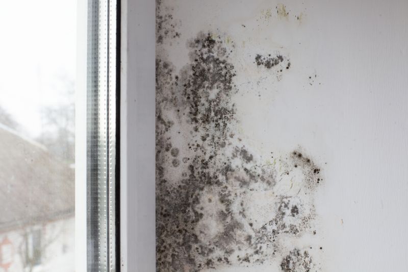 Black Mold Remediation in West Palm Beach, FL