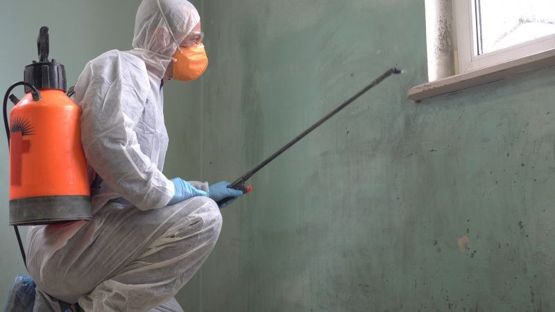 Black Mold Removal in Jupiter, FL