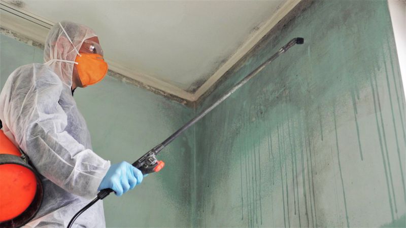 Crawl Space Mold Removal in Broward County, FL