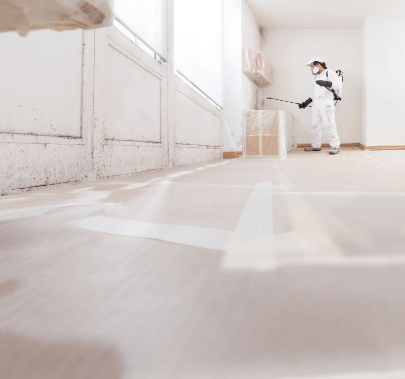 Crawlspace Mold Remediation in Fort Lauderdale, FL