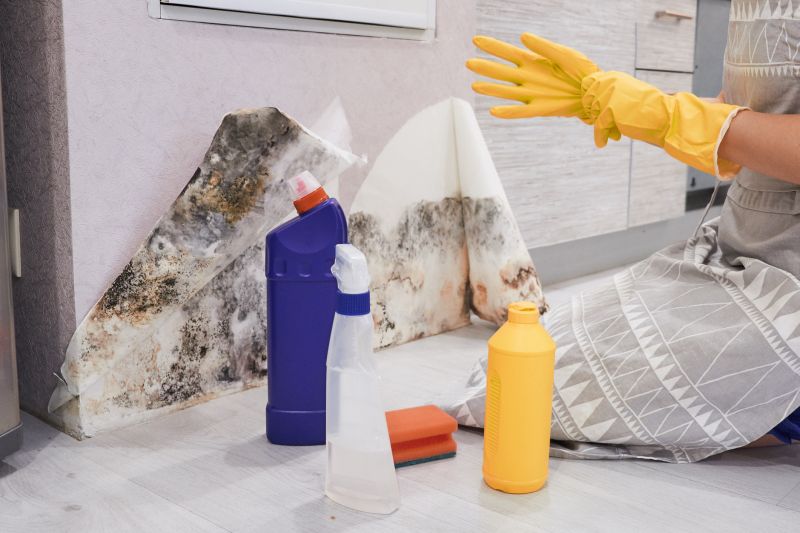 Mold Abatement Service in Dallas, TX