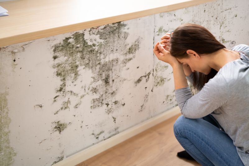 Mold Control in Jupiter, FL