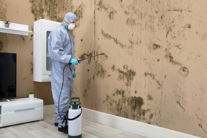 Mold Detection in Fort Worth, TX