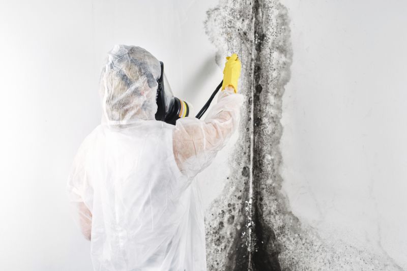 Mold Remediation Service in Boca Raton, FL