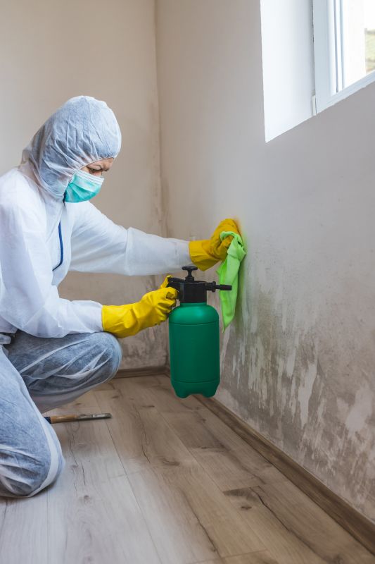 Mold Removal in West Palm Beach, FL