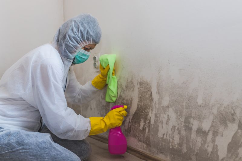 Mold Removal in Bergen County, NJ