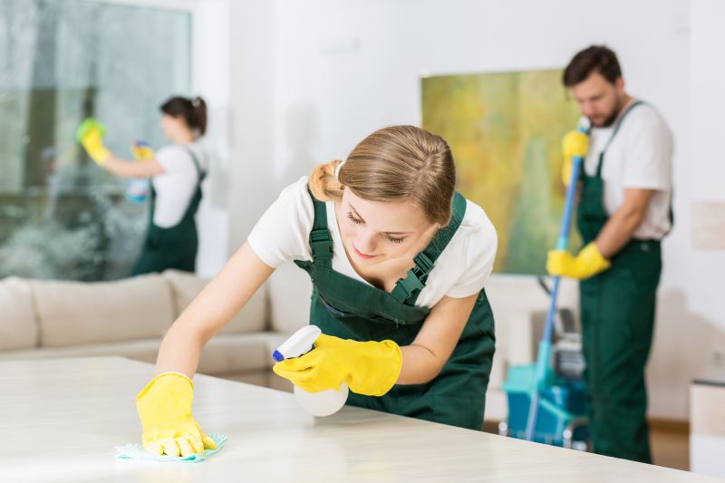 Reo Property Cleaning in Bellevue, WA