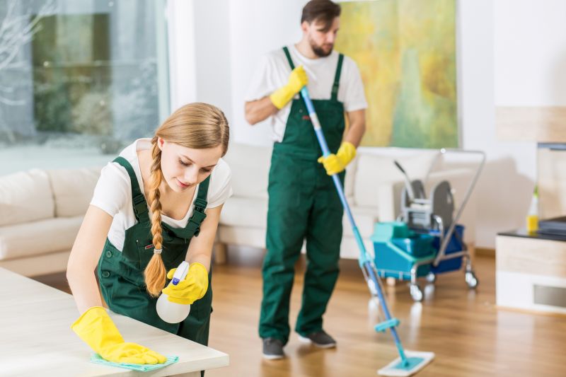 Reo Property Cleaning in Renton, WA
