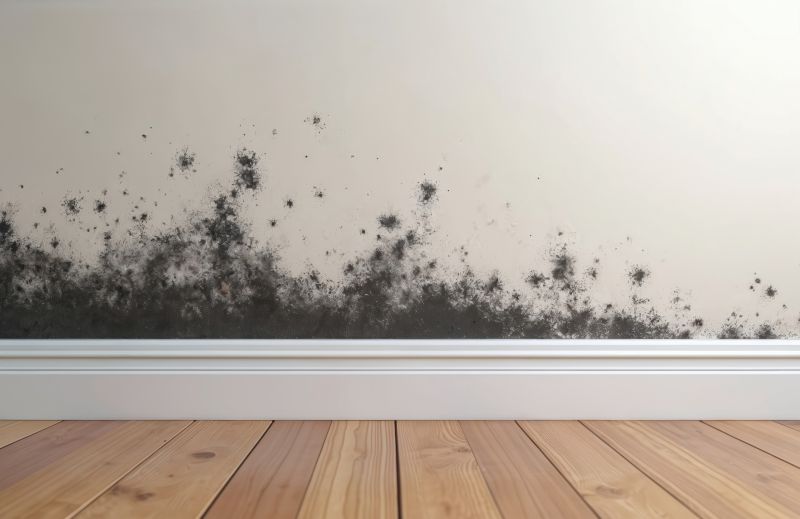 White Mold Mitigation in West Palm Beach, FL