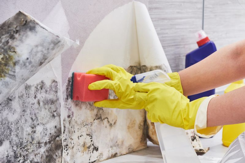 White Mold Mitigation in Broward County, FL