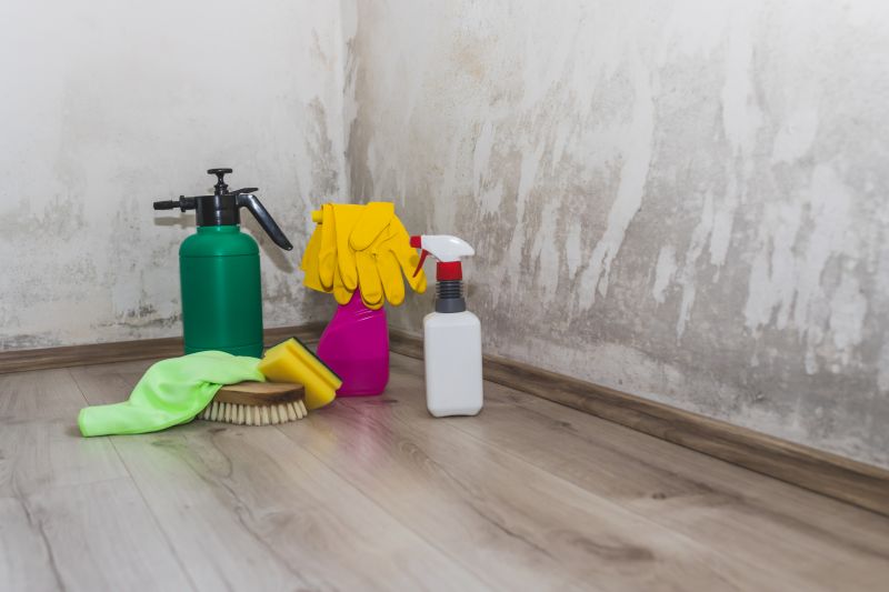 Attic Mold Remediation in Fort Worth, TX