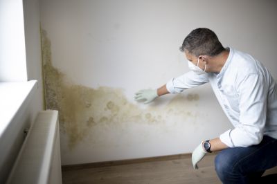 Attic Mold Remediation in Fort Lauderdale, FL