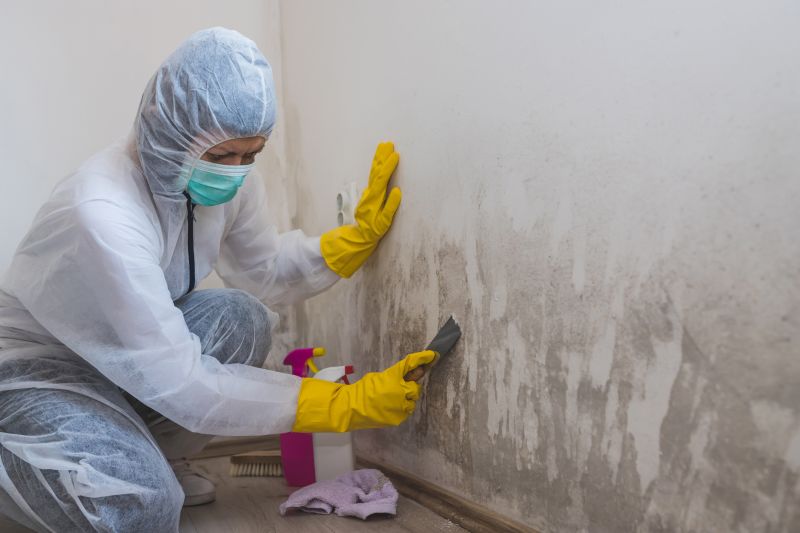 Ceiling Mold Removal in Dallas, TX