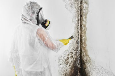 Mold Control in Pompano Beach, FL