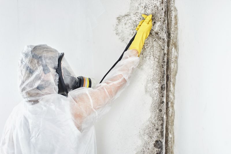 Mold Control in Plano, TX