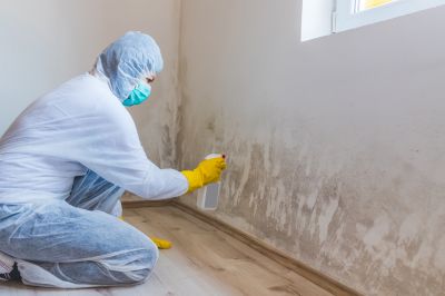 Mold Restoration in Boca Raton, FL